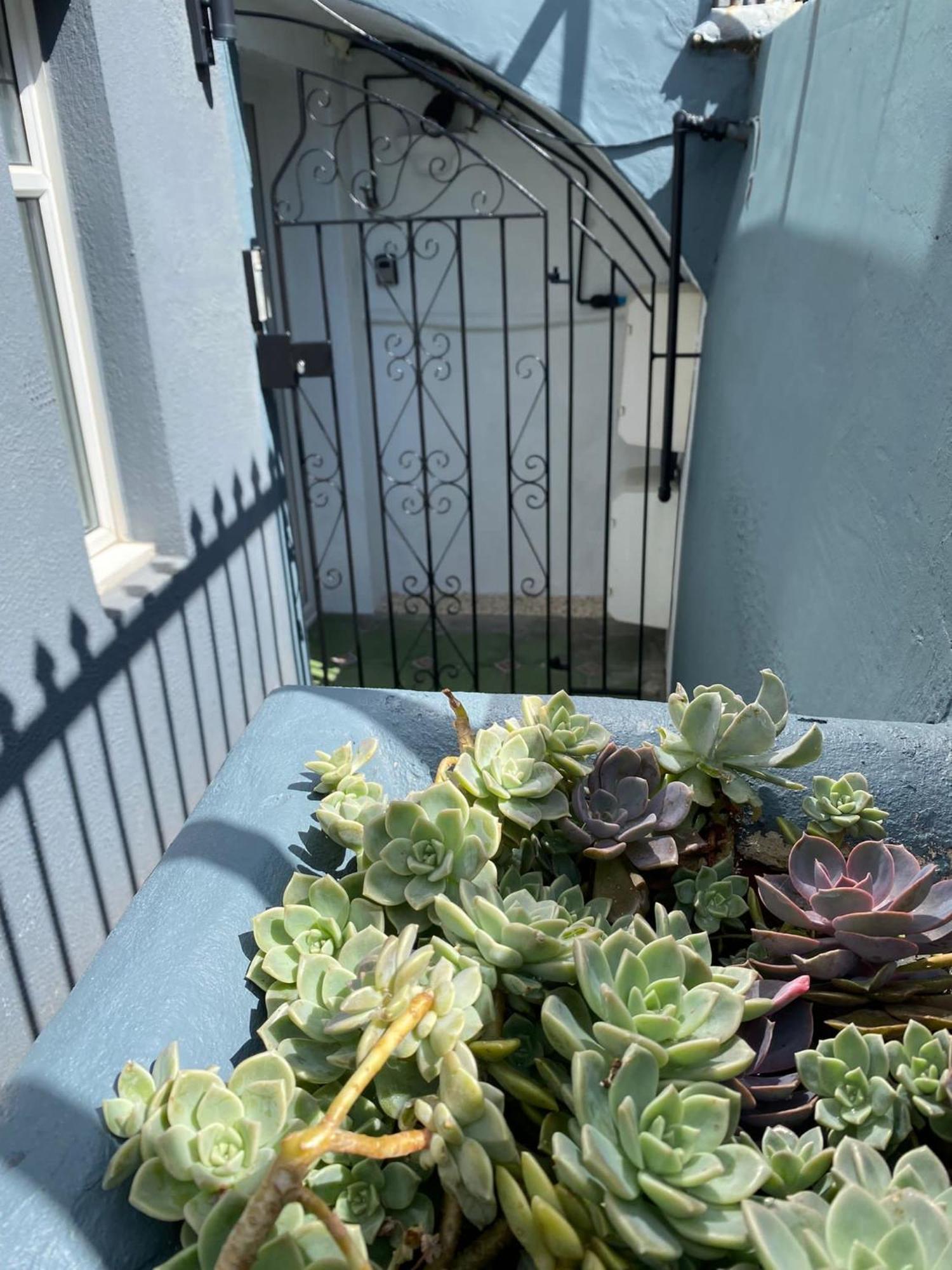Kemptown Courtyard Apartment برايتون المظهر الخارجي الصورة